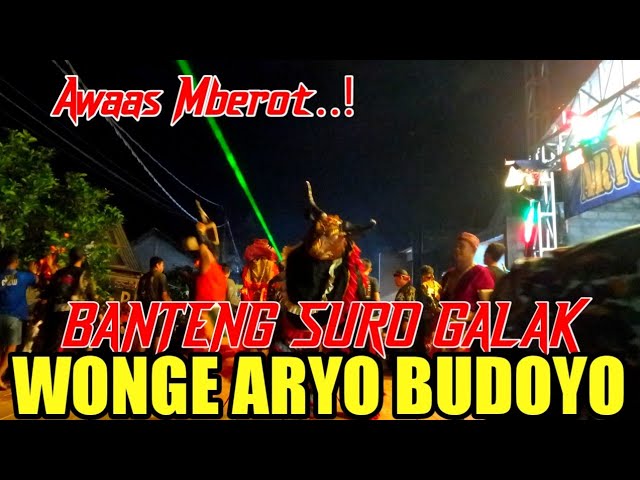 BANTENG SURO GALAK WONGE AROYO BUDOYO LIVE DOGONG DS GOGODESO 2025