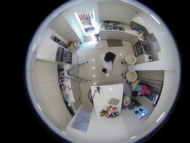 How does Hikvision 360 Camera Image looks like?