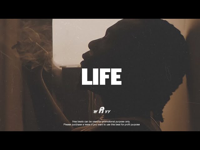 Burna Boy ft Omah lay Type Beat "LIFE" Afrobeat Instrumental 2024 x Emotional Afrobeat TypeBeat