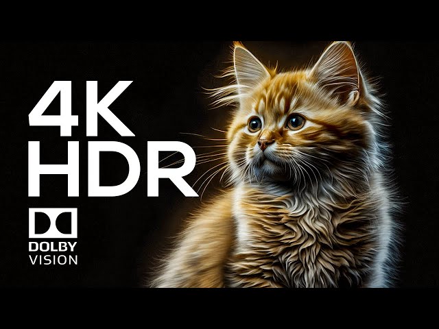 Real Clarity 4K HDR 120fps | Dolby Vision