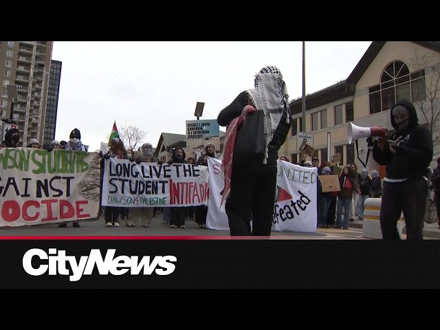 Pro-Palestinian rallies held by Montreal students