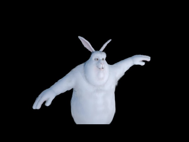 Big Buck Bunny Move VR180 Blender 2.93 EEVEE