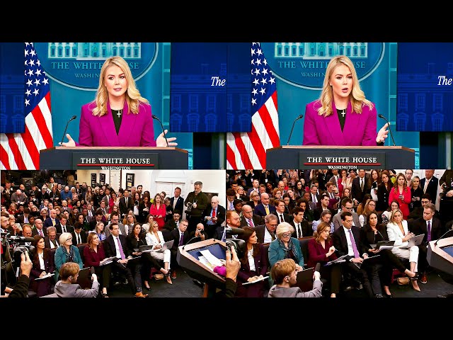 Karoline Leavitt BREAKS DOWN Today's White House Briefing | 1/28/2025.