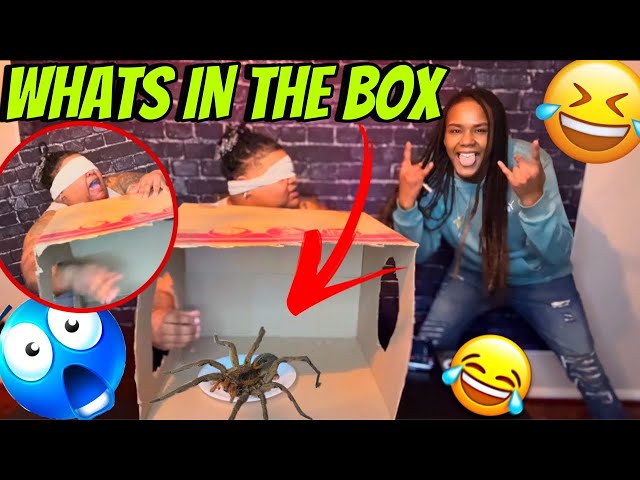 WHATS IN THE BOX CHALLENGE (HILARIOUS) ft @Getlitwitmoe