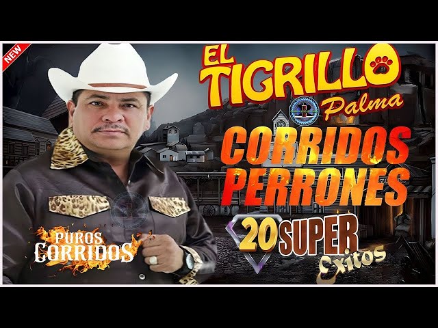 El Tigrillo Palma De Oro 🔥Éxitos De Oro Para Pistear - 20 Éxitos Corridos Perrones Mix 2025 ✅1926