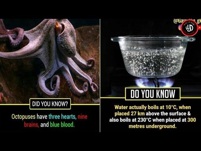 Did you know? interesting facts || EP-105