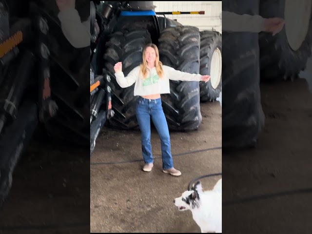 big dogs on the farm 💪 #farmlife #farmgirl #newholland #tractor #tractorvideo