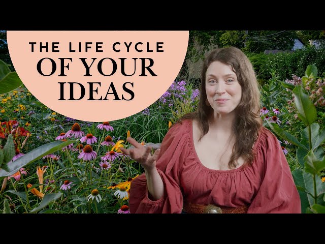 The Life Cycle of Your Ideas