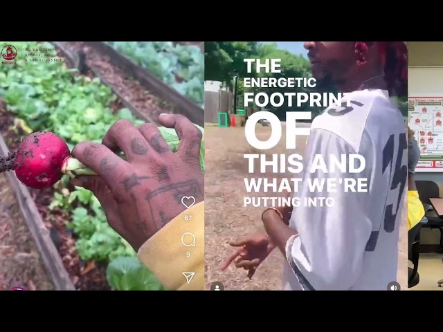 Urban farms to fight food Insecurity by Raymond Ragland.  A Community Responsive Reporting project.