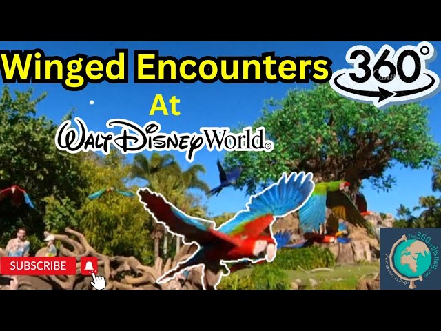 360 View of Winged Encounters at Animal Kingdom - Walt Disney World