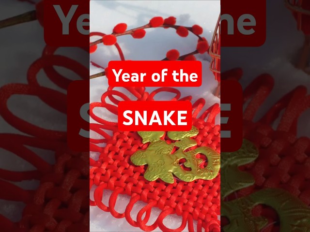 Celebrate Lunar New Year 2025  Year of the Snake  #trendingtoday #viralvideo #trendingvideo