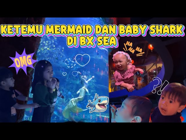 Ketemu Mermaid Cantik dan Baby Shark di BX Sea ⁉️ | Kids Explores BX Sea Aquarium