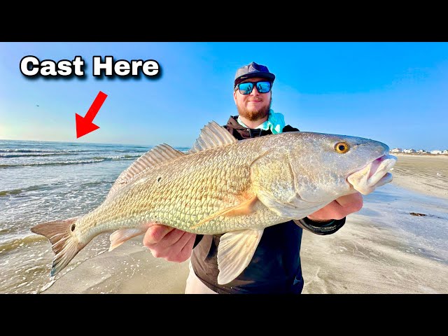 Winter SURF FISHING for SLOT REDFISH! (Catch, Clean, Cook)