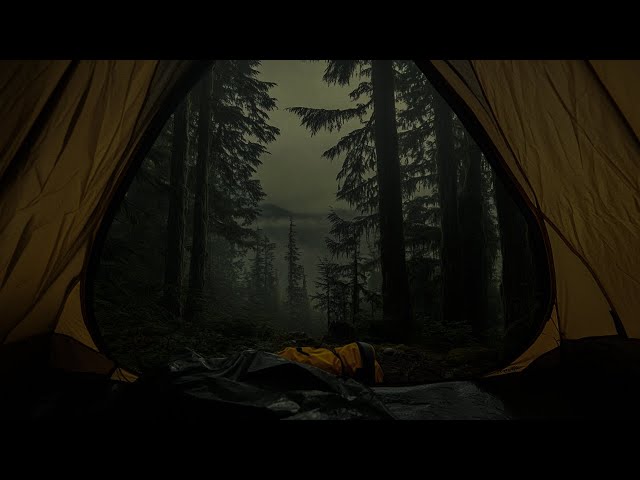 Intense Rain & Thunderstorm Over a Tent - Peaceful Night’s Sleep in Nature’s Heart