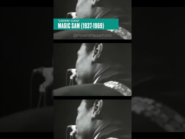 Forgotten Guitar Heroes | Magic Sam plays "Lookin' Good" (American Folk Blues Festival, 1969)