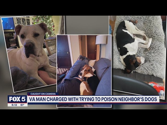 Virginia man charged with trying to poison neighbors' dogs | FOX 5 DC