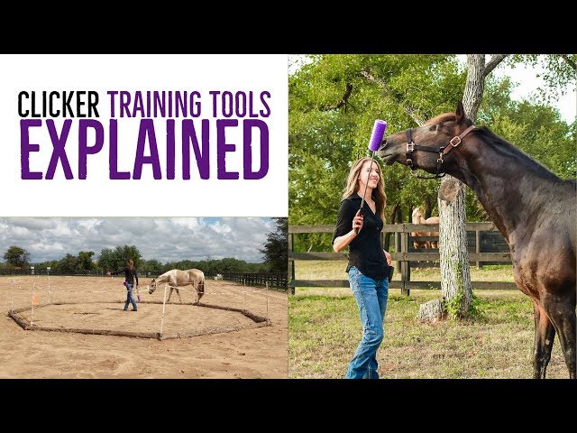 Clicker Training Tools Explained