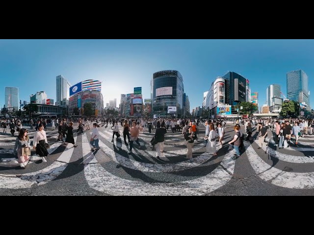 🌟 Shibuya Crossing: Tokyo’s Pulse | Immersive Experience 🌟