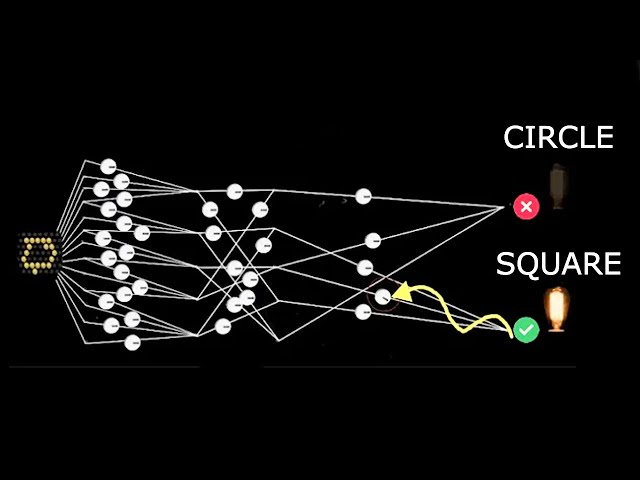 How Neural Networks Work