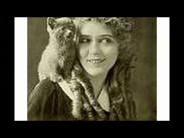 MARY PICKFORD FROM SILENT SCREEN STAR TO MOVIE STUDIO OWNER EVERY STAR HAS A STORY