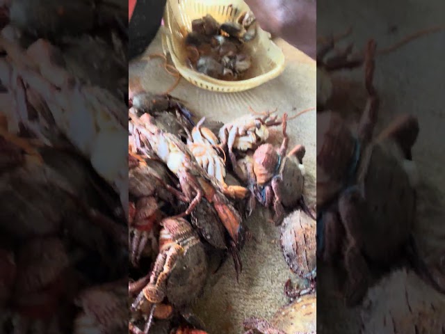 Amazing😱😱😱 seafood crab in fish market #trending #viralvideo