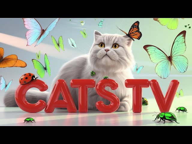 CAT GAMES | Ultimate Cat TV Compilation Vol 4 | 3 HOURS of Non-Stop Action for Your Playful Cat😺🐞🦋🦎🐭