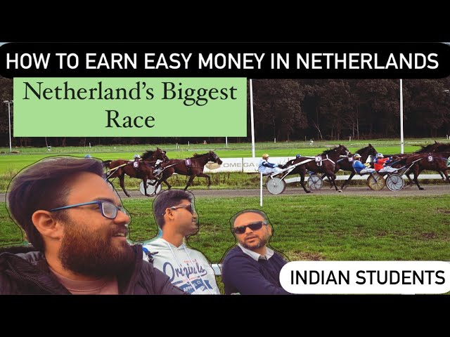 Ghoode ki race mein doode gadhe | Horse racing experience | Indian Student  | seewhatisee