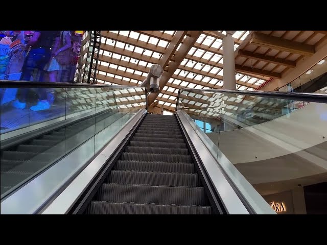 The Escalator Music Video with ASMR Effect!