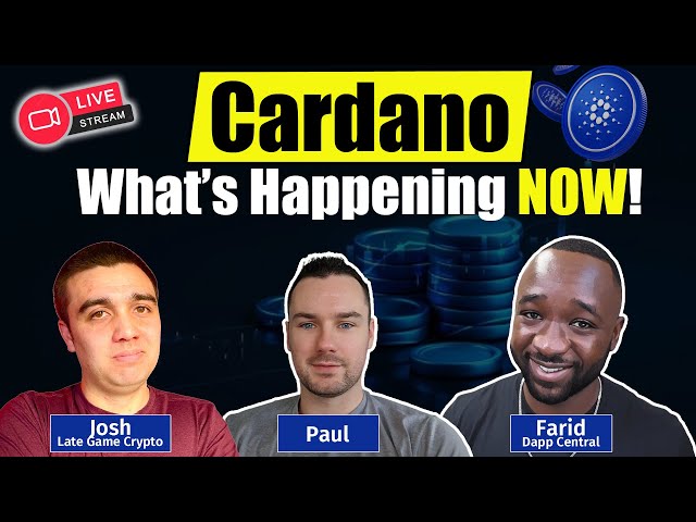 Cardano Whats Happening Now | Latest Updates!