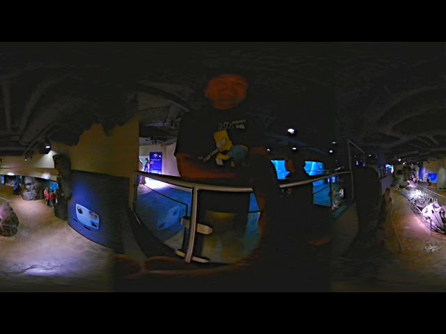 a look in the georgia aquarium....(video  360 VR)