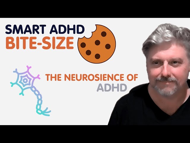 Smart ADHD Bitesize: The Beginners' Guide to the Neurology of ADHD