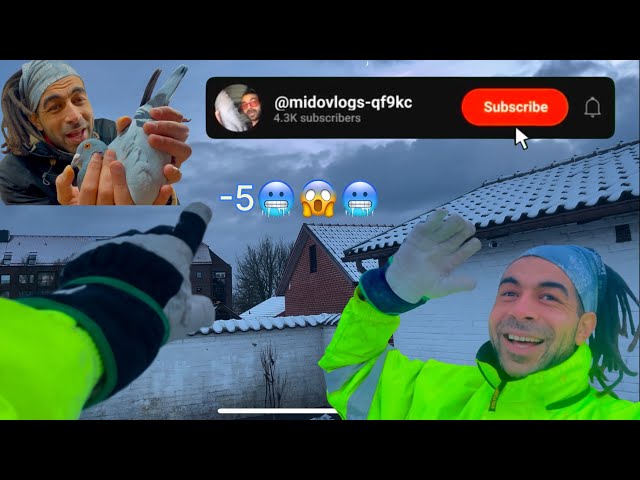 اطلاق اول مرة الحمام الزاجل في اجواء الثلج🌨️❄️مع مغربي في السويد🇸🇪🇲🇦🔥