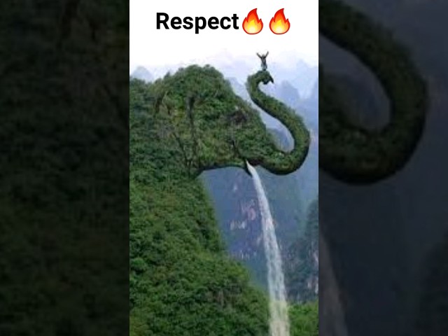 respect😱😱new creation🔥🤩 #respect #shorts #ytshort