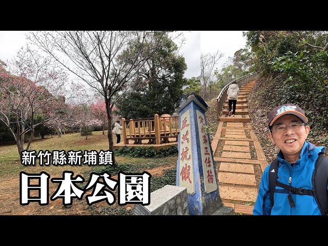 Enjoy the cherry blossoms in the  "Japanese Park" in Hsinchu Xinpu, the "Raging Tide Monument"