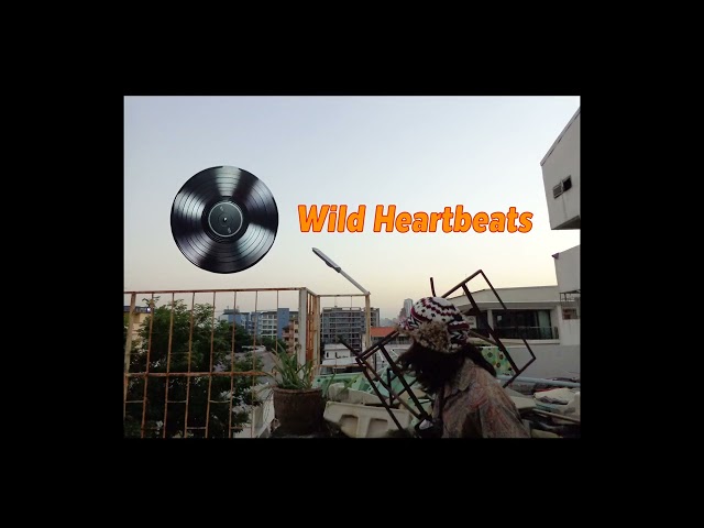 Wild Heartbeats - AJMSC [Official Ai Music]