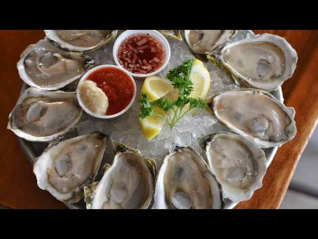 FRESH OYSTER 🦪 with TABASCO 🤤 #oysters #freshoysters #oystermukbang #seafood #seafoodlovers #mukbang