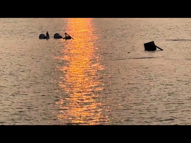 Magical Sunset at Kasarsai Dam | Stunning Water Reflections