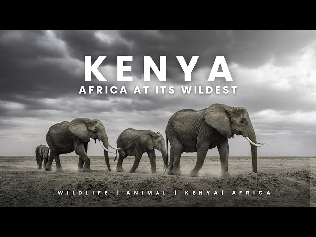 KENYA 🇰🇪 2022 | Trip of a lifetime " part two" - 4K HDR