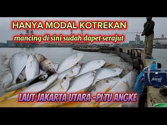 TERBUKTI MANCING DI SEPOT GACOR‼️para pemancing merasakan sensasi nya amis