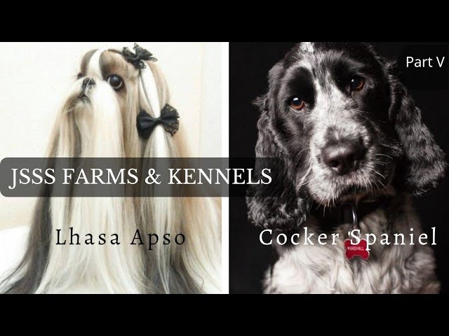 Every Dog Breed Explained (Part 5)| JSSS Farms & Kennels