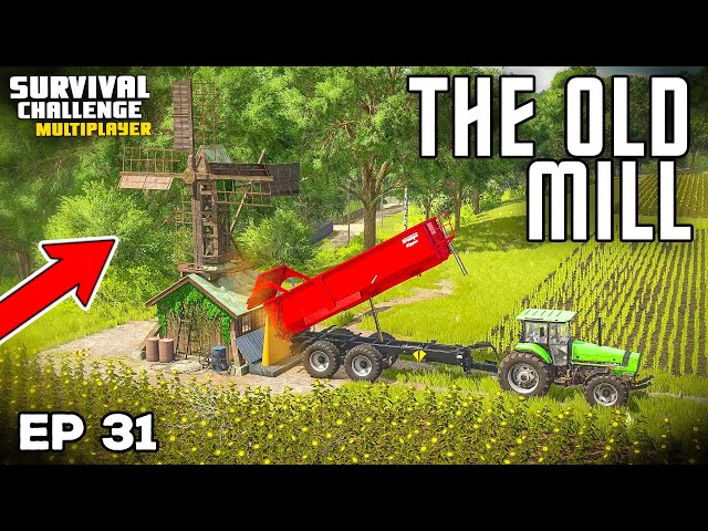 YE OLDE MILL IS GRINDING GRAIN | Farming Simulator 25 - Survival Challenge | Episode 31