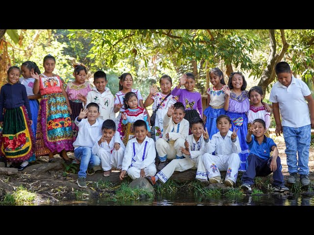 Videocarta desde Tacuro, Michoacán