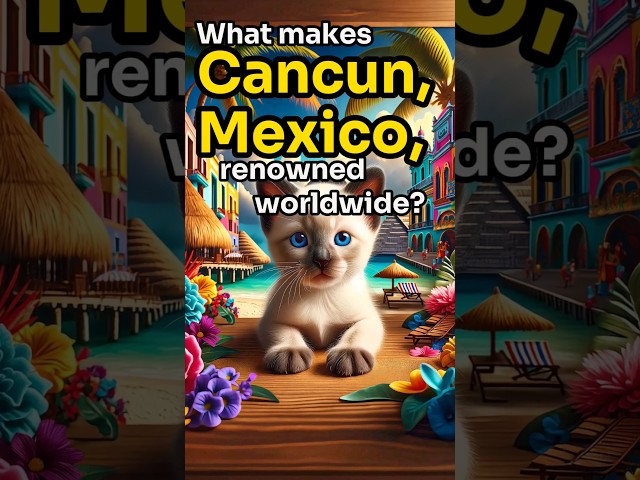 【CAT STORY】 GUESS What Makes Cancun Mexico A Global Hotspot? #quiz #shorts #subscribe #cat #cute