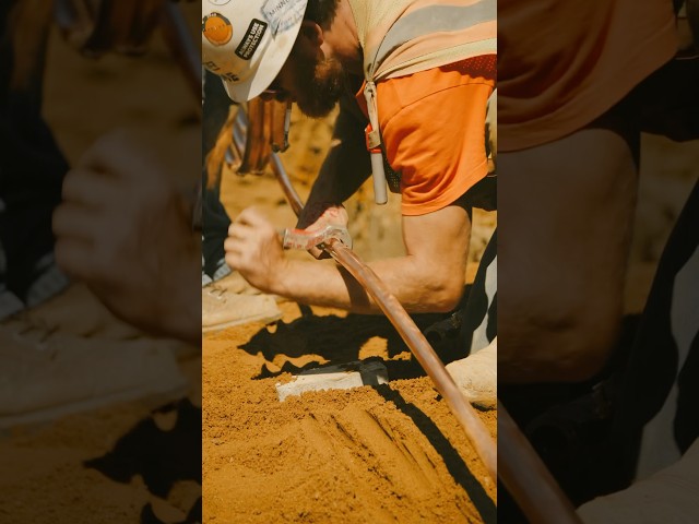 👷🏽‍♂️ Blue Collar hard working people! #hardworking #construction