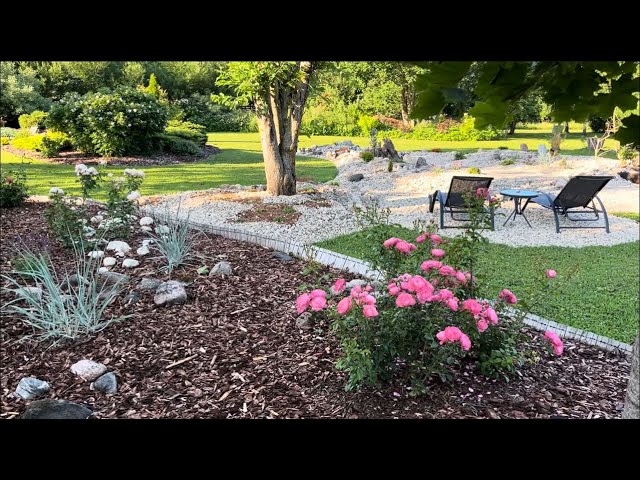 Rose bed: Mein Schöner Garten, Laguna, Chandos Beauty, Leonardo da Vinci.