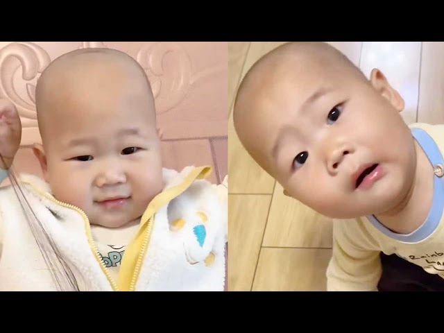 [Super Cute Twins] Another Day of Wits and Courage# Sisi and Pomelo# Human Cub Growth Plan# Twins