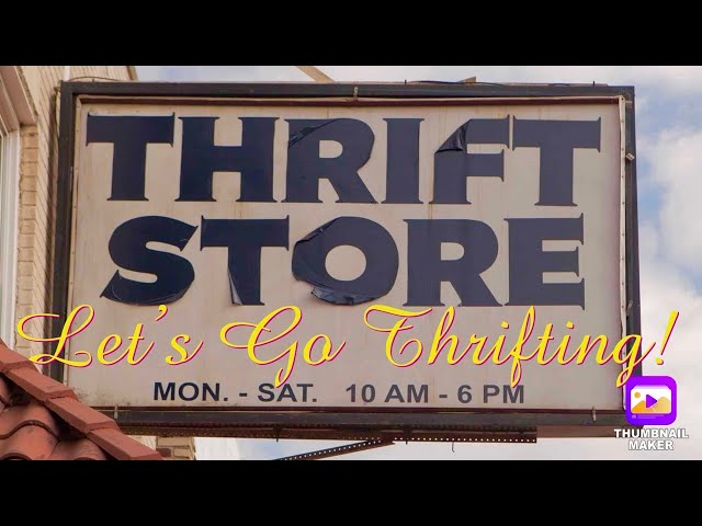 HUGE Collective Thrift Store Haul! 🛍️ 3 stores! February 3, 2025