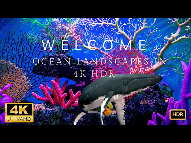 Stunning #Ocean Landscapes in #4K HDR Dolby Vision