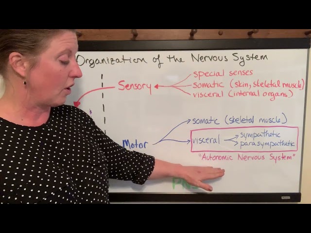 Lecture 14a Organization of NS