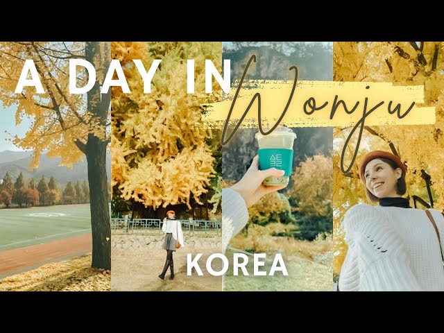 KOREA VLOG | autumn solo day trip out of Seoul to Wonju🍂